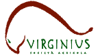 Virginius Logo